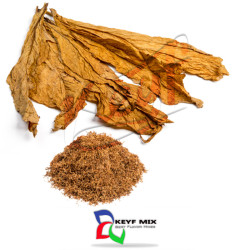 Win Churchill Win Churchill