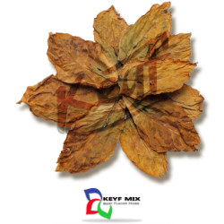 Lucky Strike Lucky Strike