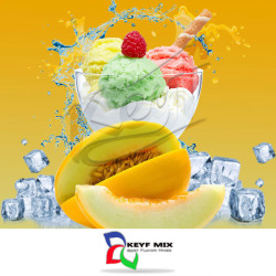 Melon Ice Cream Melon Ice Cream